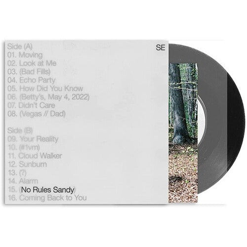Sylvan Esso - No Rules Sandy - LP [ Record ]