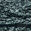 Alex Weiser: Water Hollows Stone - COMPACT DISCS