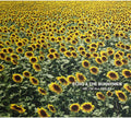 Echo & the Bunnymen: Me I'm All Smiles - CD