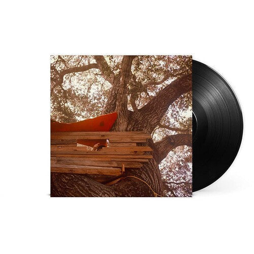 Backseat Lovers - Waiting To Spill - LP [ Record ]