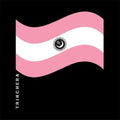 Babasonicos: Trinchera - VINYL