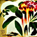 Jungle: Good Times / Problemz [ Vinyl ]