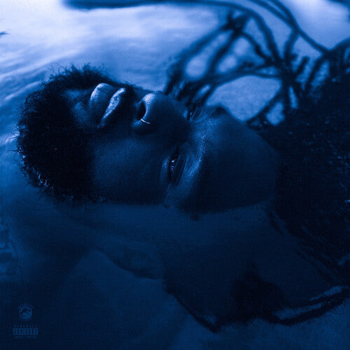 Rexx Life Raj - The Blue Hour - LP [ Record ]