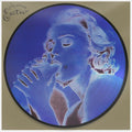 Madonna - Erotica - Picture Disc 12" [ Record ]