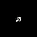 Galcher Lustwerk: 100% Galcher [ Vinyl ]
