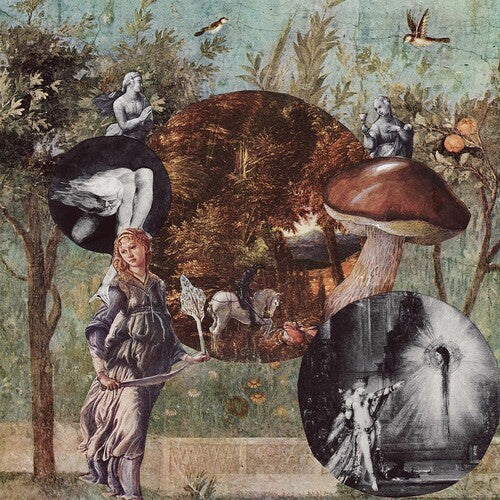 Native Harrow: Old Kind Of Magic [ Vinyl ]