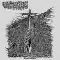 Vacuous: Dreams Of Dysphoria - VINYL