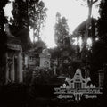 Der Trauerschwan: SANGUINARE VAMPIRIS - CD