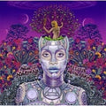 Erykah Badu - New Amerykah Part Two - LP [ Record ]