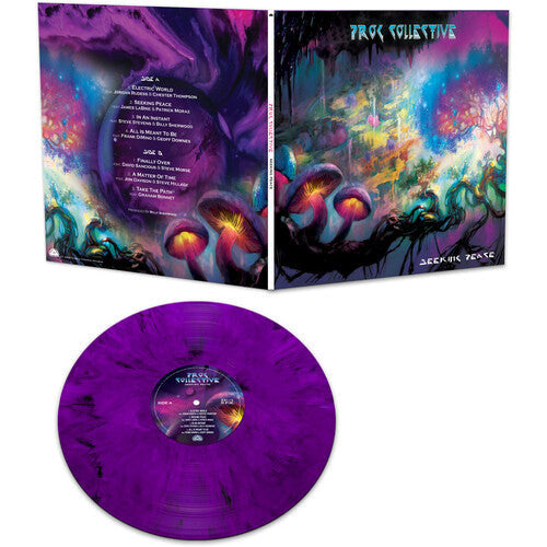 The Prog Collective - Seeking Peace  - LP [ Record ]