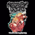 Necropsy Odor: Tales From The Tepid Cavity - 7-INCH SINGLE