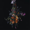 BIG/BRAVE - Nature Morte - LP [ Record ]
