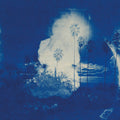 Fruit Bats -  A River Running to Your Heart - LP [ Record ]