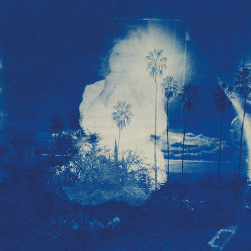 Fruit Bats -  A River Running to Your Heart - LP [ Record ]