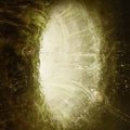 Omega Infinity: THE ANTICURRENT - CD