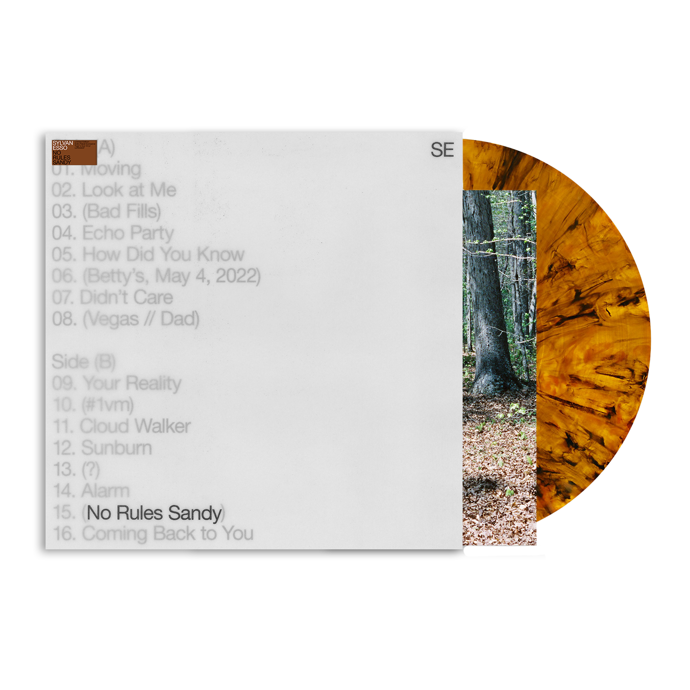 Sylvan Esso - No Rules Sandy - Indie LP [ Record ]