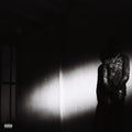 Destroy Lonely - No Stylist - LP [ Record ]