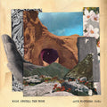Dave Matthews Band - Walk Around The Moon - LP [ Record ]