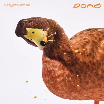 Pond - The Early Years: 2008-2010 - RSD LP [ Record ]