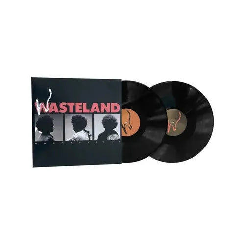 Brent Faiyaz - Wasteland - Indie LP [ Record ]