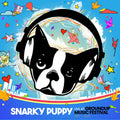 Snarky Puppy - Live at GroundUP Music Festival - RSD LP [ Record ]