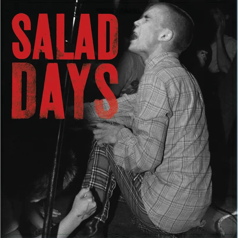 Salad Days: Music From The Documentary Film - Various Artists - RSD LP [ Record ]