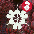 Bjork: Fossora Remixes [ Vinyl ]
