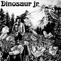 Dinosaur Jr.: Dinosaur - CD