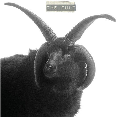 The Cult - The Cult - LP [ Record ]