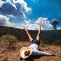 Geese - 3D Country - LP [ Record ]