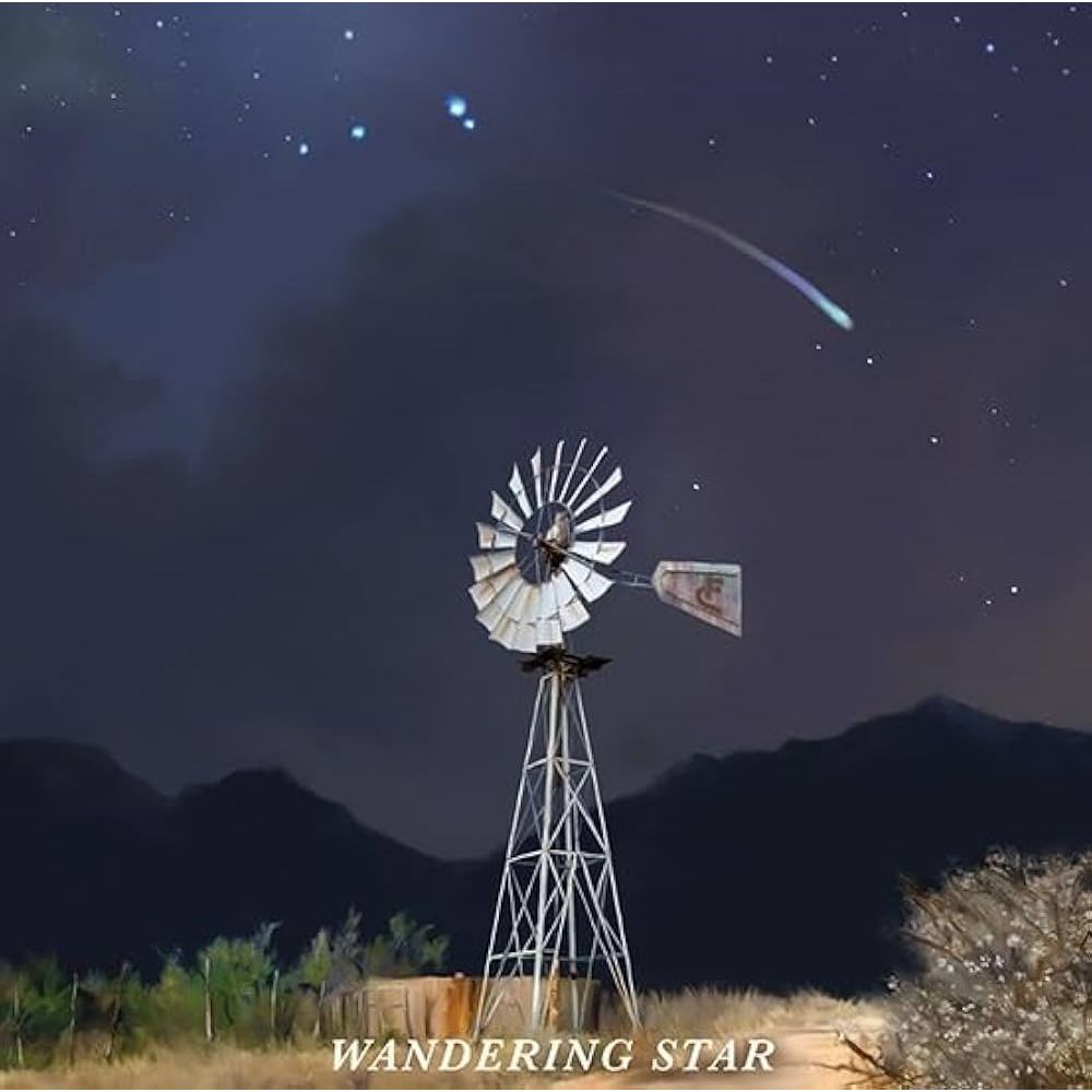 Flatland Cavalry - Wandering Star - LP [ Record ]