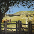 Shirley Collins: Archangel Hill { CD }
