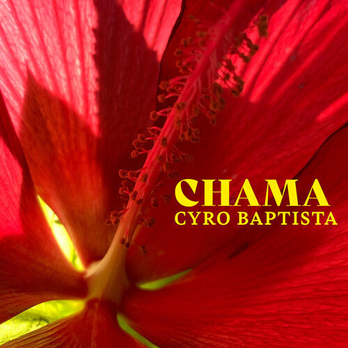 Cyro Baptista: Chama - CD