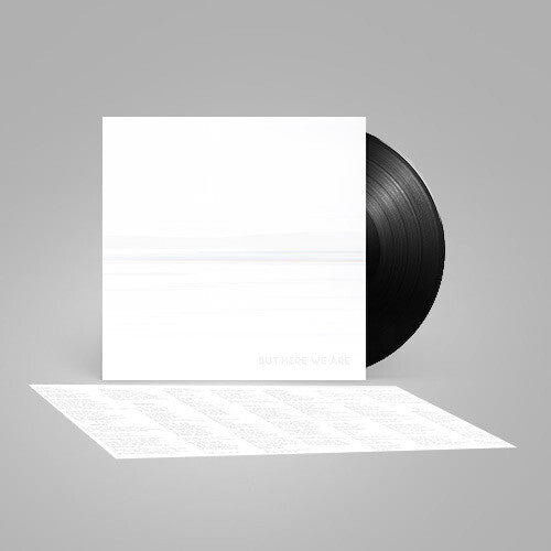 Foo Fighters -  But Here We Are - LP [ Record ]