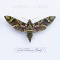 Cowboy Junkies: Such Ferocious Beauty - VINYL