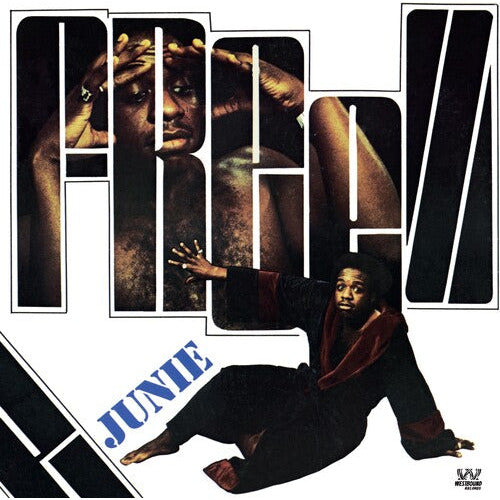 Junie - Freeze - Indie LP [ Record ]