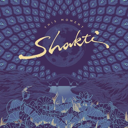 Shakti: This Moment - VINYL