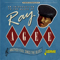 Ray Agee: An Introduction To The Blues Of: Another Fool Sings The Blues { CD }