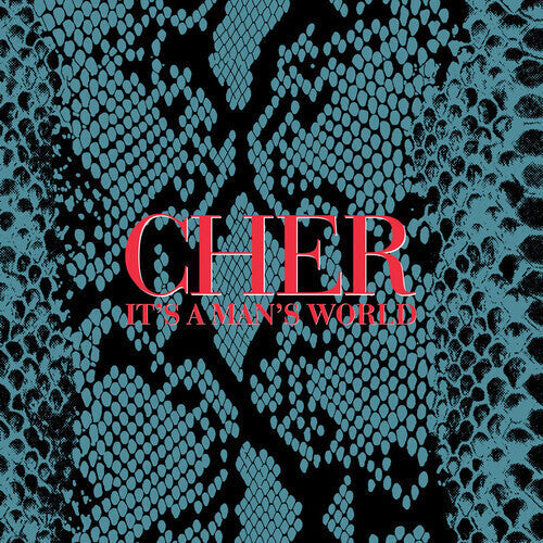 Cher - It's a Man's World - LP [ Record ]