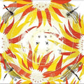 Alabaster Deplume: Come With Fierce Grace - CD