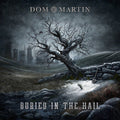 Dom Martin: Buried In The Hail - VINYL LP