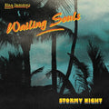 The Wailing Souls: Stormy Night - VINYL