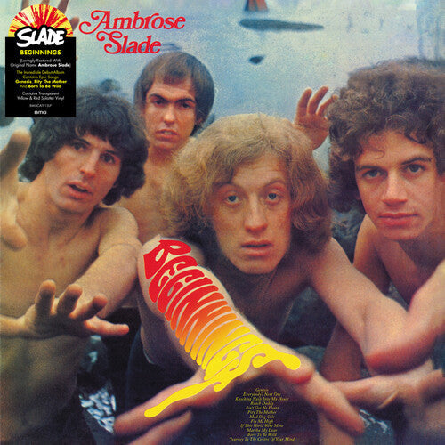 Slade - Beginnings - LP [ Record ]