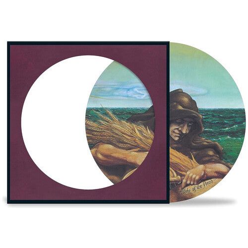 The Grateful Dead - Wake Of The Flood - Picture Disc LP [ Record ]