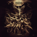 Permutation: Transience - CD