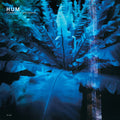 Hum - Downward Is Heavenward - LP [ Record ]