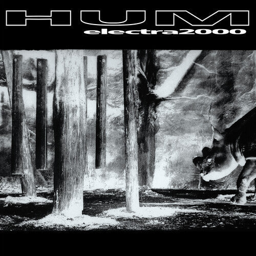 Hum - Electra 2000 - LP [ Record ]