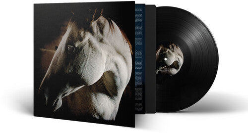 Brother Dege: How To Kill A Horse - VINYL LP