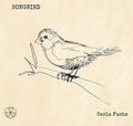 Carla Fuchs: Songbird (Featuring Lyrics From Sandy Denny's Notebook) { CD }