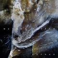 Magnus Johann: Rofnar { CD }